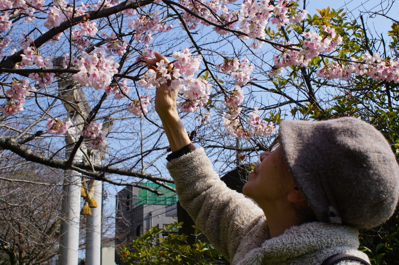 桜見学~地元の桜は最高です~_f0220087_01565423.jpg