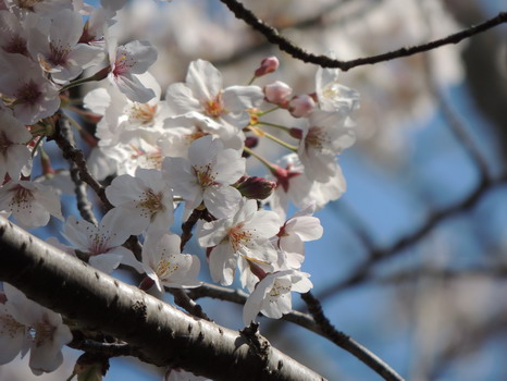 神場公園（かんばこうえん）_c0137507_18485566.jpg