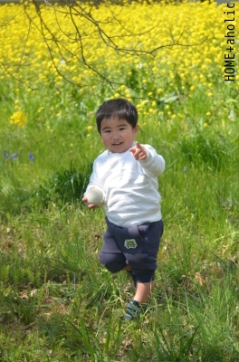■いよいよ&ちょっとした喜び。_d0350221_08093546.jpg