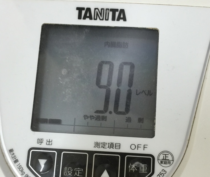 河豚とインプレッサG4_f0076731_21345132.jpg