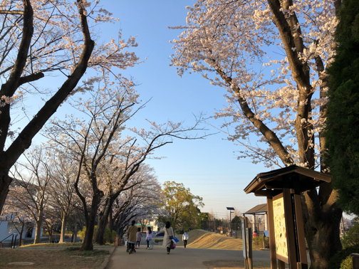 手作りの布製マスクの洗い方紹介&プリーツマスク試作中♪_f0023333_22303544.jpg