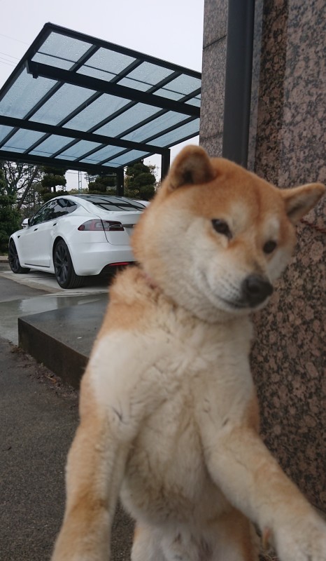 本日雨です。。。_e0361655_14050901.jpg