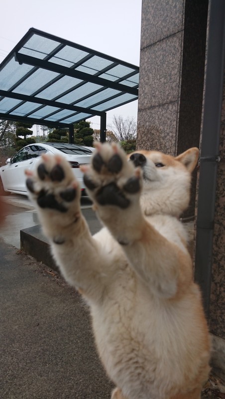 本日雨です。。。_e0361655_14182582.jpg