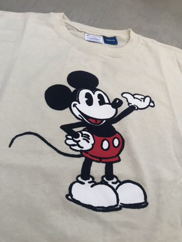 champion Disneyワンピース_e0357389_14255589.jpg