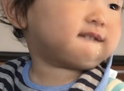 下唇を噛み続ける次男坊_b0366709_22033505.jpg
