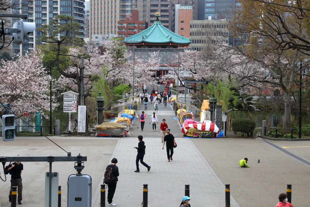 桜 - 2014年・磐越西線 -_b0190710_19475160.jpg