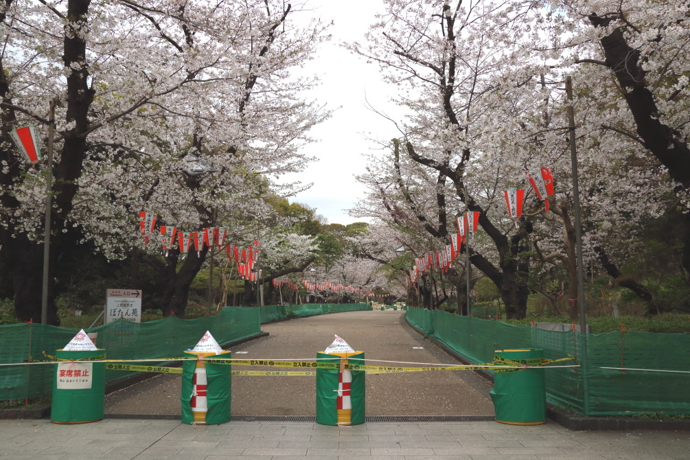 桜 - 2014年・磐越西線 -_b0190710_19475272.jpg