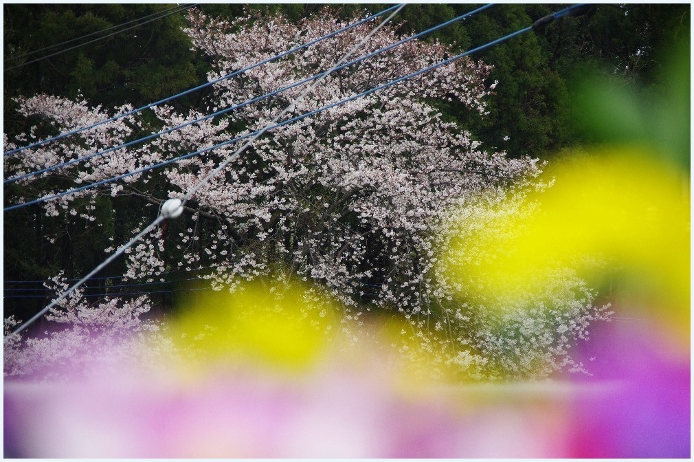 我が家の絶景_c0352813_10041468.jpg