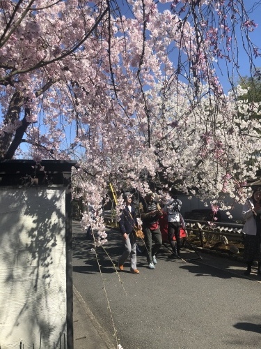 桜の季節に…_a0197730_23342129.jpeg