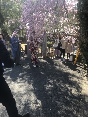 桜の季節に…_a0197730_23345433.jpeg