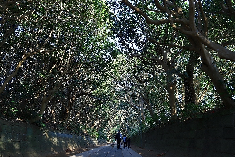 【酒列磯前神社】_f0348831_11111534.jpg