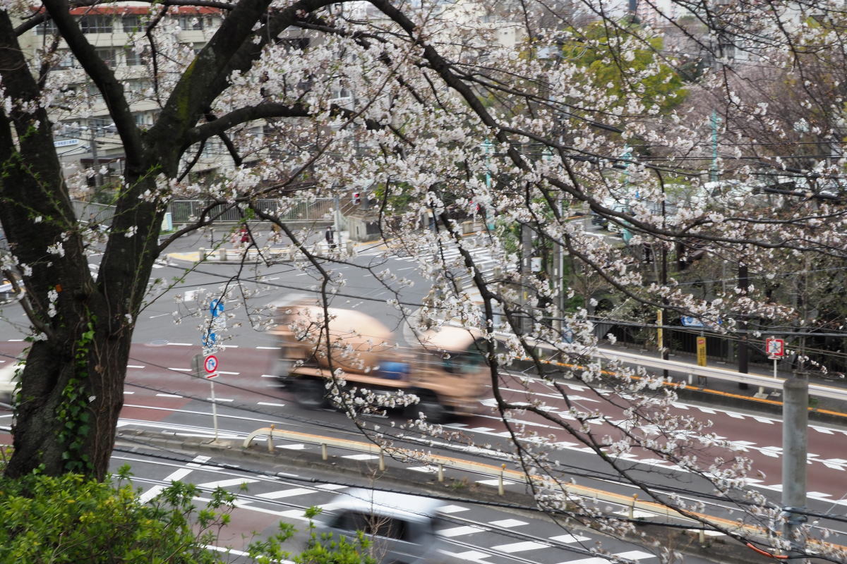 飛鳥山公園_a0347635_08324345.jpg