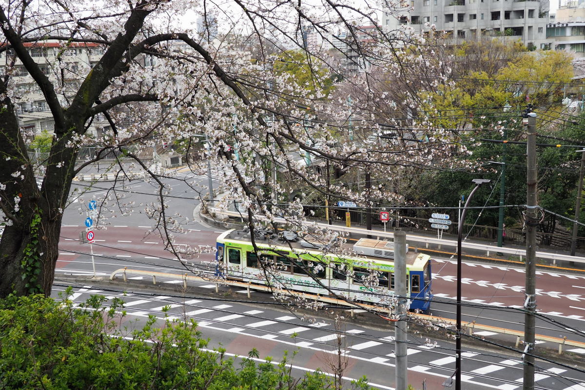 飛鳥山公園_a0347635_08392583.jpg