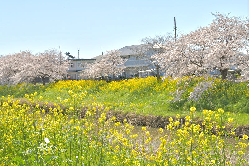 遠くから みえたから_c0319774_11310483.jpg