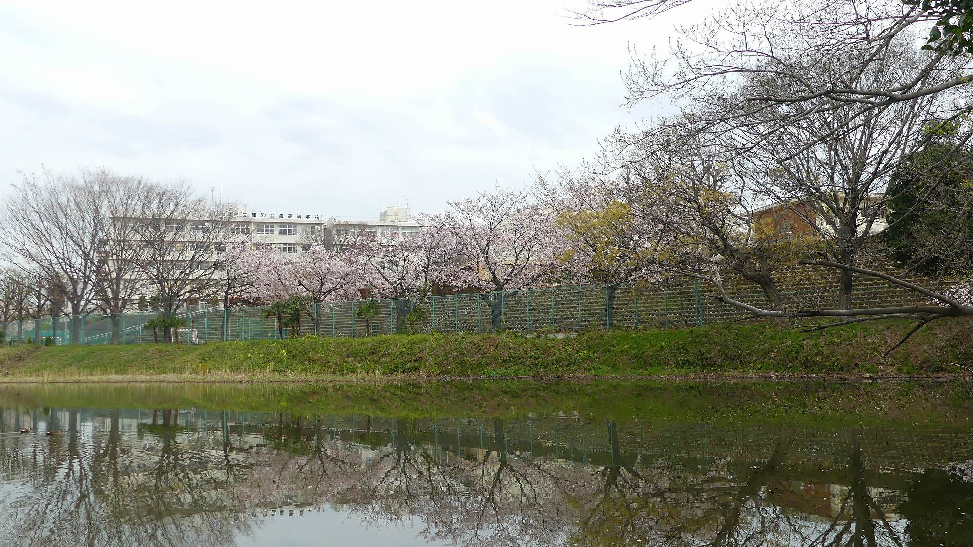 季節がくれば花は咲く_a0185081_11340413.jpg