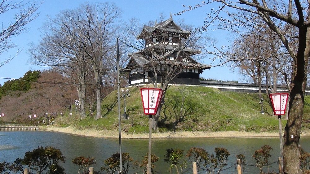 高田城址公園の桜！_e0065084_1403394.jpg