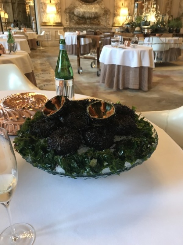 パリ旅行備忘録ーアラン・デュカス@Le Meulis(その1)_d0129786_18525138.jpg