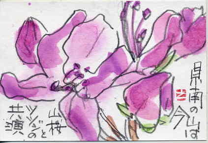 鉛筆の魅力 日々是絵手紙 鉛筆の魅力 日々是絵手紙