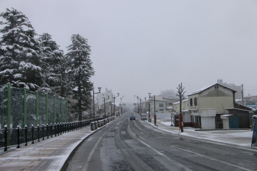 朝の散歩は「彼岸過ぎての七雪」２０２０．３．２９_c0075701_09492826.jpg