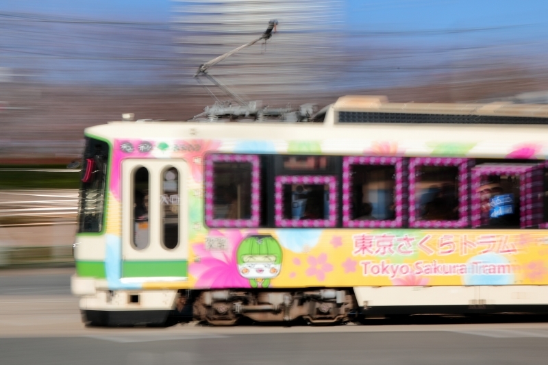 流れる桜・飛び去る桜、その後半（北区・飛鳥山）_b0291402_08454516.jpg