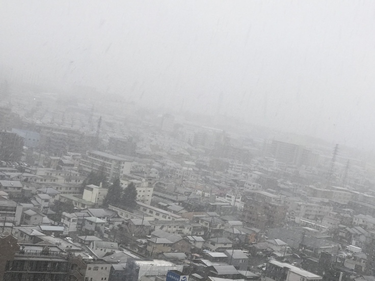 朝7時 雨が雪にかわりました @神奈川県北部_c0212604_794253.jpg