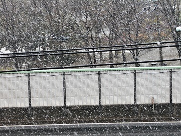 多分積もらない雪　 2週間後が怖いかも…_d0009105_12335305.jpg