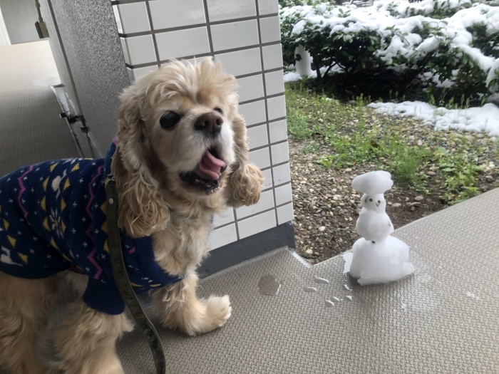 雪降りましたさん マリちゃんワールド 雪降りましたさん マリちゃんワールド