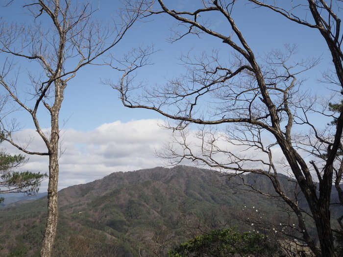 窓ヶ山登山(白川登山口)_c0116915_23311272.jpg
