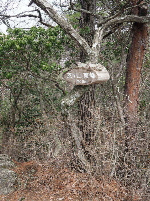 窓ヶ山登山(白川登山口)_c0116915_23413124.jpg
