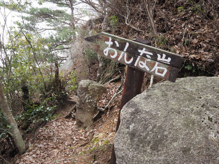 窓ヶ山登山(白川登山口)_c0116915_23442726.jpg