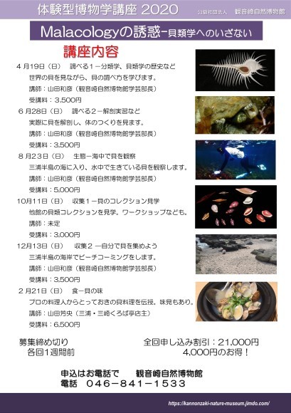 体験型博物学講座2020 ~Malacologyの誘惑~貝類学へにいざない~ _a0386621_13301939.jpg
