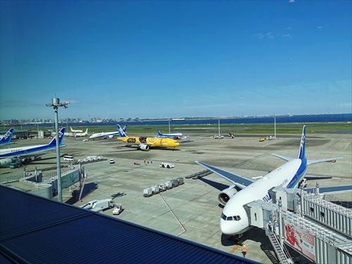 [争奪戦]ドコモP30 Pro HW-02L値下げ購入前の参考に 6ヶ月使ったレビュー_d0262326_18461749.jpg