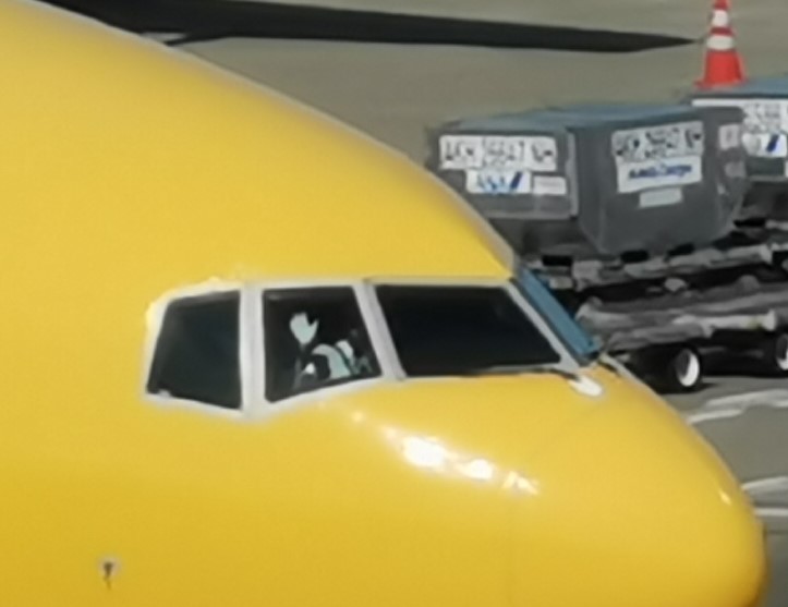 [争奪戦]ドコモP30 Pro HW-02L値下げ購入前の参考に 6ヶ月使ったレビュー_d0262326_18483751.jpg