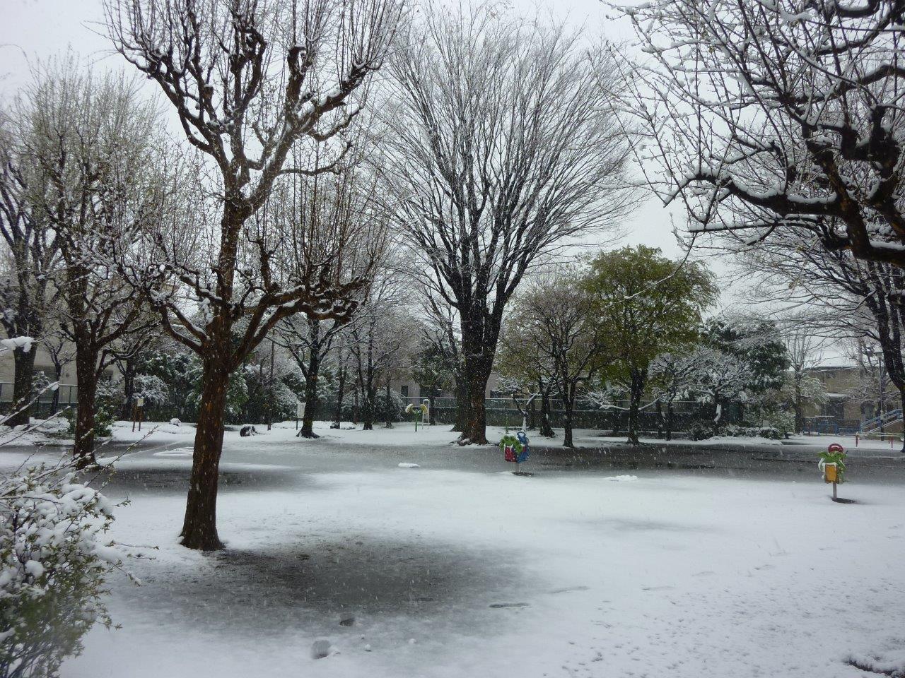 3 29 日 弥生三月名残の雪 ぽつぽつ山レポ ときどき休み ところにより道草 3 29 日 弥生三月名残の雪 ぽつぽつ山レポ ときどき休み ところにより道草