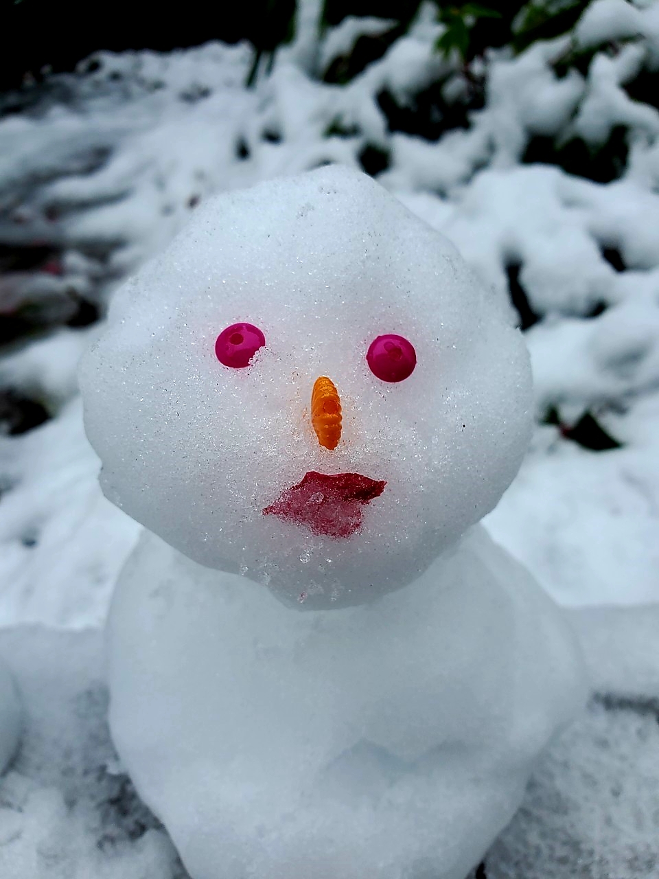 ~casse-croûte1936~ゆきだるま かき氷 かまくら 雪だるま [247908092]の写真素材 - アフロ