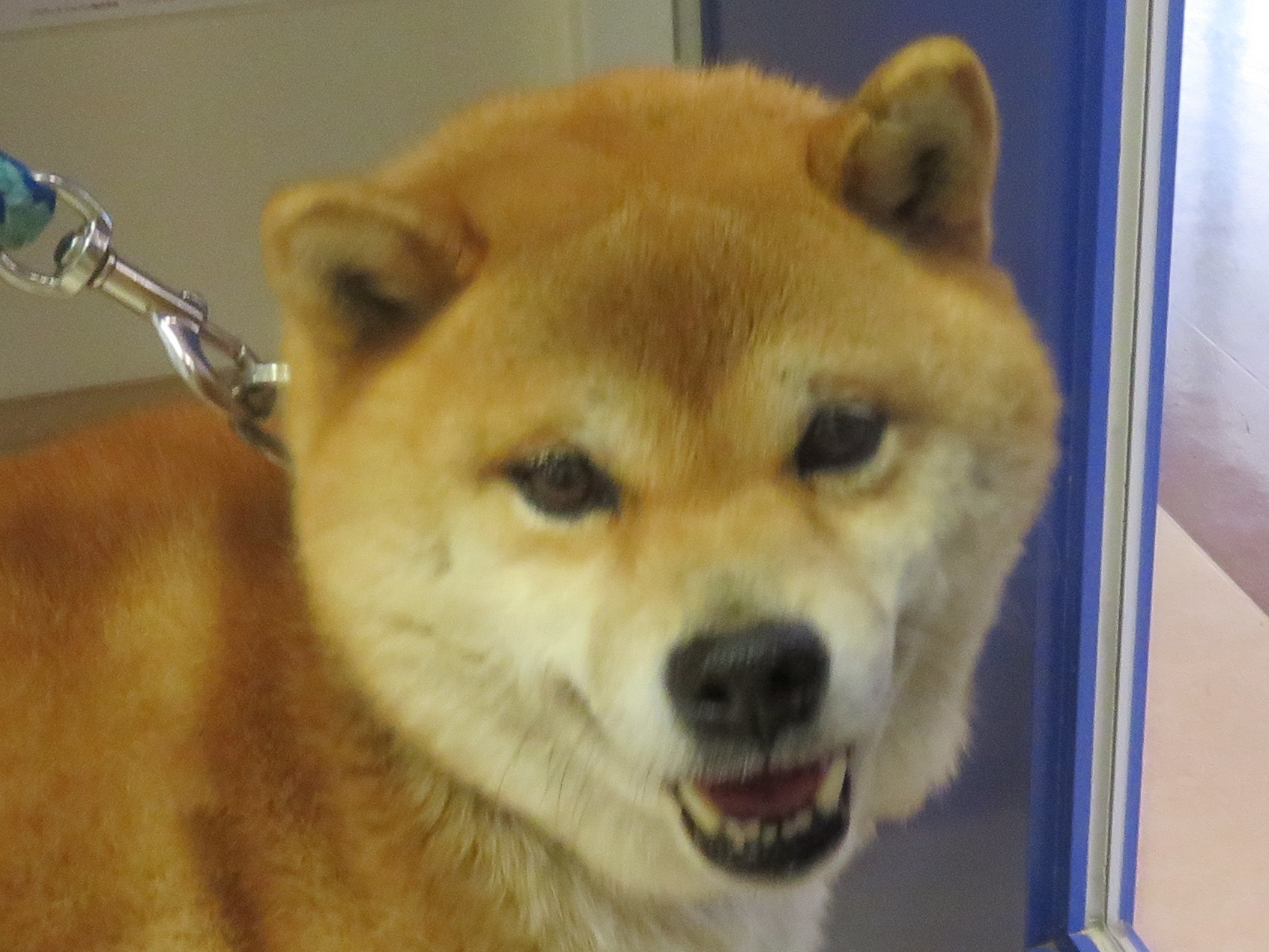 3 月 29 日の写真_c0174644_13311908.jpg