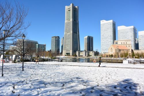 桜と雪化粧!_e0080345_22290323.jpg