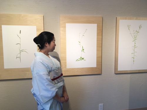 Gallery Pepin「にぼしとハルジオン 上田智之個展」_a0061947_1412968.jpg