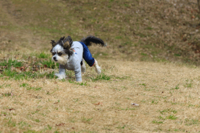 小さなスーパーマン気分で 山run Funky S Blue Sky 小さなスーパーマン気分で 山run Funky S Blue Sky