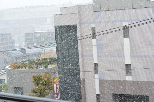 今日も元気だ ご飯がうまい 空太郎との生活