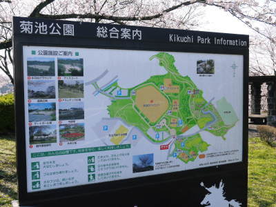 菊池公園、菊池神社の桜photoコレクション 2023_a0254656_18292344.jpg