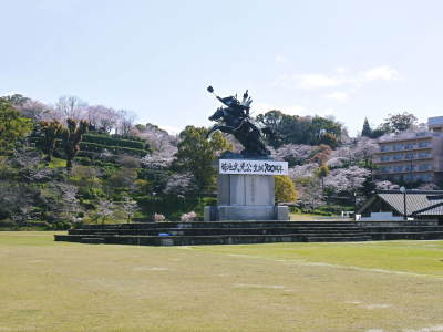 菊池公園、菊池神社の桜photoコレクション 2020_a0254656_18544165.jpg