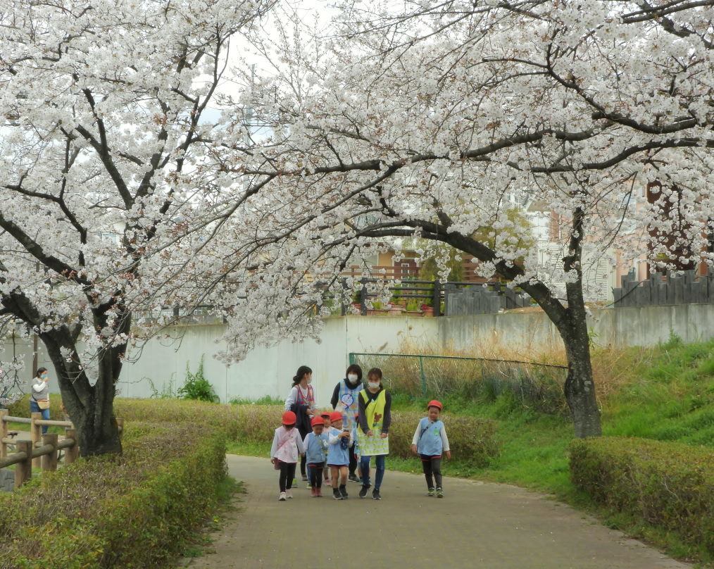 三ツ寺公園で サクラをメインに_c0305565_17370278.jpg