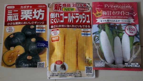 ダイソーの種の新シリーズ 春の植え付け第一弾 ブルーベリーの育て方 栽培 ブルーベリー ノート Blueberrynote ダイソーの種の新シリーズ 春の植え付け第一弾 ブルーベリーの育て方 栽培 ブルーベリー ノート Blueberrynote