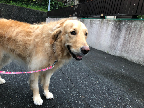 保育園ブログ_f0357682_18313076.jpg