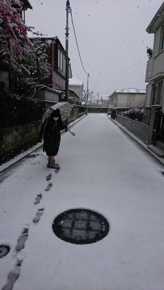 桜隠し(季語)_b0207284_15545088.jpg