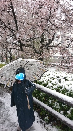 桜隠し(季語)_b0207284_15571716.jpg
