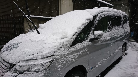 桜隠し(季語)_b0207284_16024504.jpg