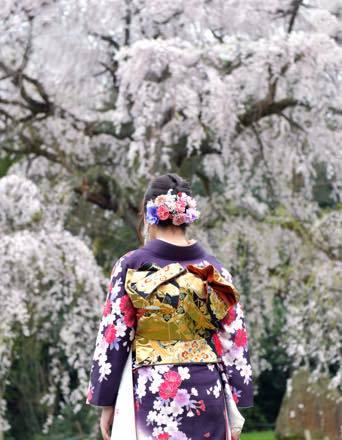 満開の桜だったけど行ったところは全て人の姿は......._b0194185_17023271.jpg