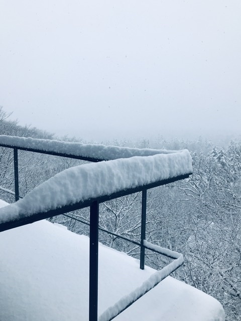 雪景色が似合う軽井沢_d0339896_11060405.jpeg